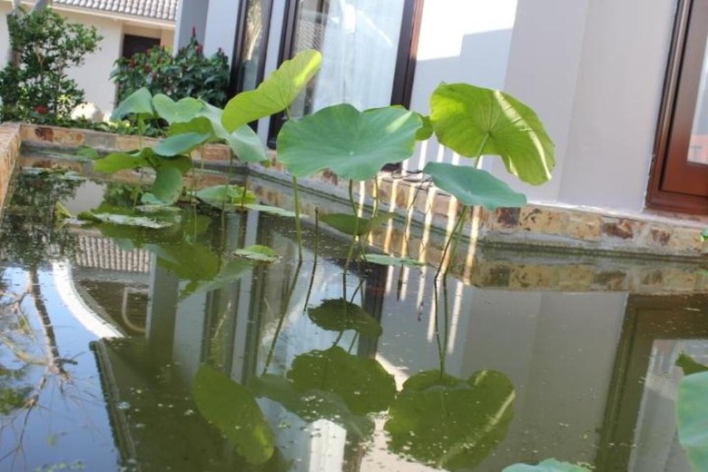 Hotel Champa Resort & Spa
