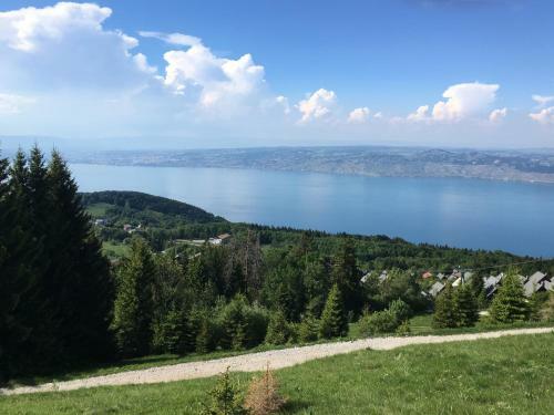 Apartamento Duplex Le Y�ti 16 Station Thollon Les M�mises