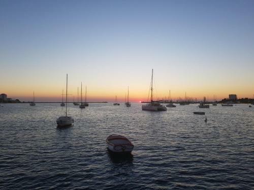 Apartment Leone Umag