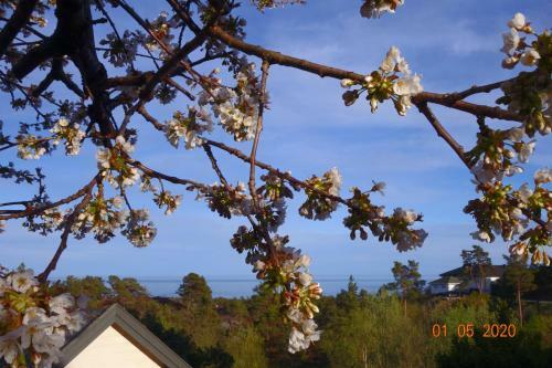Ris�r Bed & Breakfast, Randvik Strand