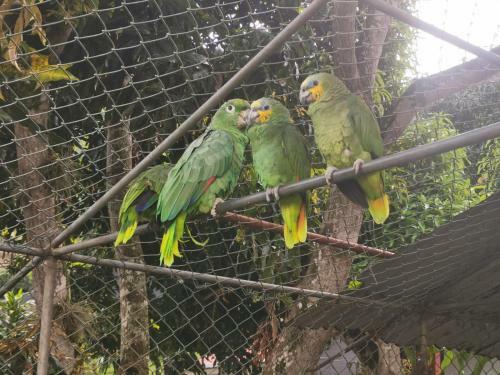 Monteverde Holiday Apartments