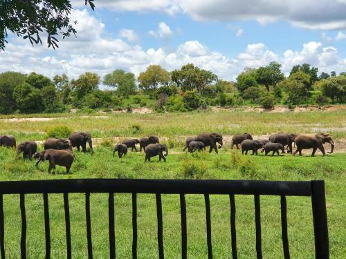 Umkumbe Safari Lodge Riverside