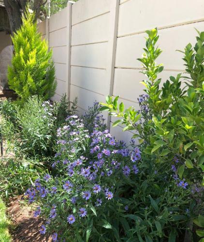 Bed & Breakfast Kliprand Guesthouse