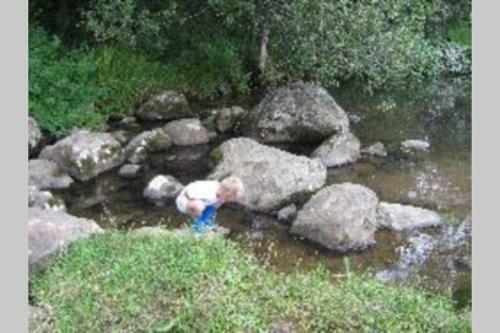 Apartamento Hornbills Forest Cottages