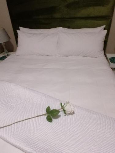 Apartamento Cascades 103