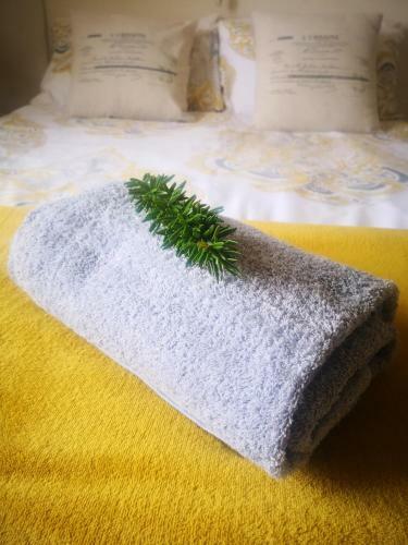 Apartamento Pa Se Engel Self Catering