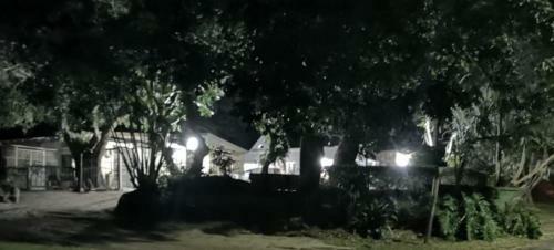 The Tree Of Idleness Guesthouse