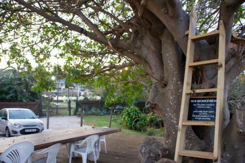 Lodge Umzumbe Surf House