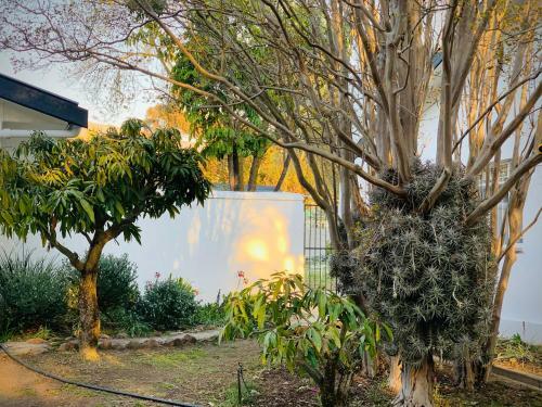 L'bloom Family House