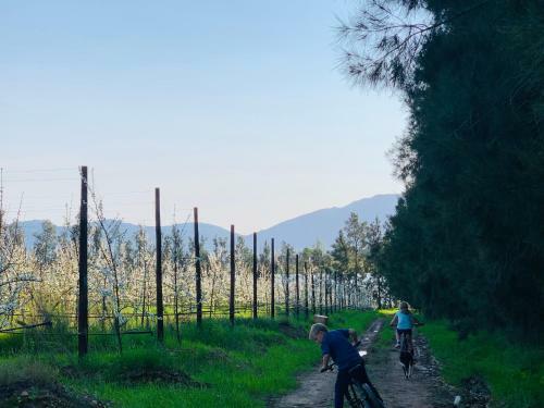 L'bloom Family House