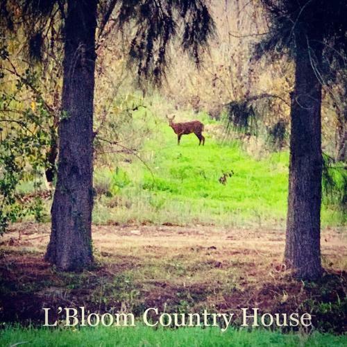 L'bloom Country House
