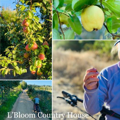 L'bloom Country House
