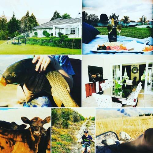 L'bloom Country House