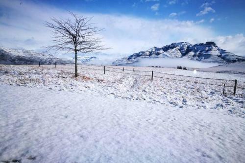 Apartamento Hamstead Farm Eco And Pet-friendly Cottage