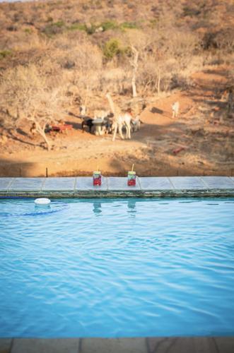 Villa Tholo Manzi Private Game Farm