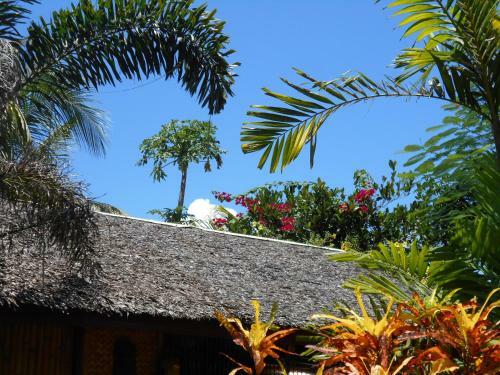 Hostal Jungle Flower Guest House