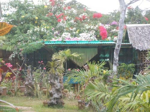 Hostal Jungle Flower Guest House