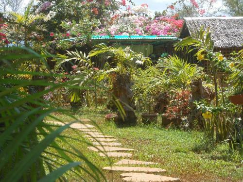 Hostal Jungle Flower Guest House