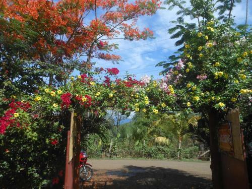 Hostal Jungle Flower Guest House