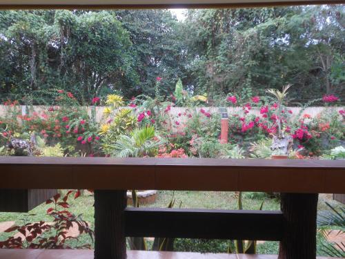 Hostal Jungle Flower Guest House
