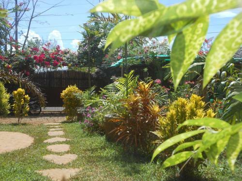 Hostal Jungle Flower Guest House
