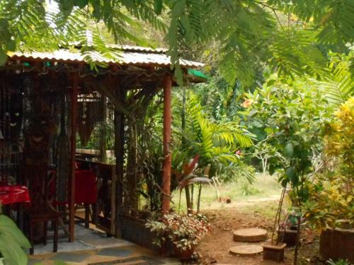 Hostal Jungle Flower Guest House