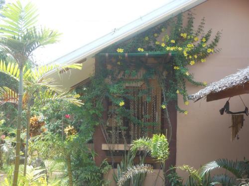 Hostal Jungle Flower Guest House