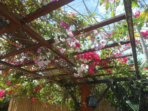 Hostal Jungle Flower Guest House