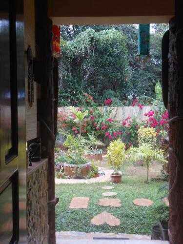 Hostal Jungle Flower Guest House