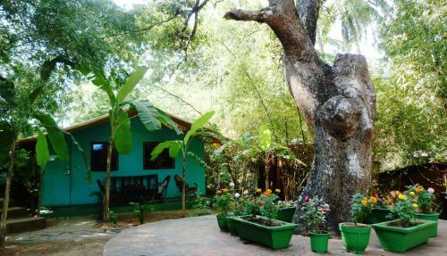 Hostal Secret Garden Resort