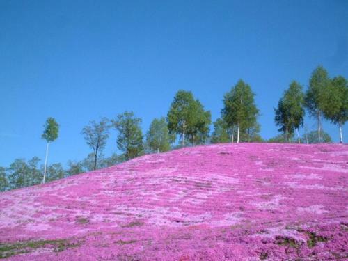 Takinoue Hotel Keikoku - Vacation Stay 32385v
