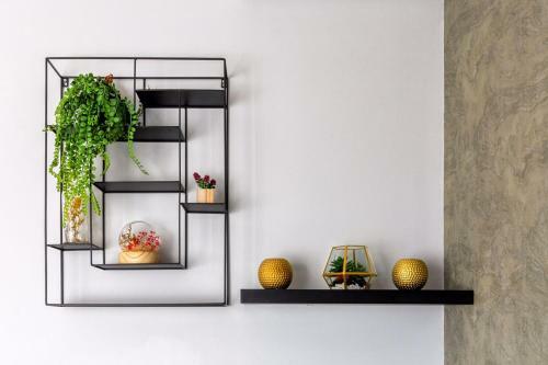 Apartamento Alimama Spaces: The Manson's Ellipse
