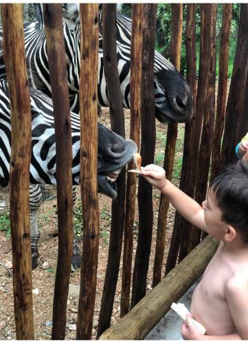 3433 On Klipspringer Marloth Park Kruger
