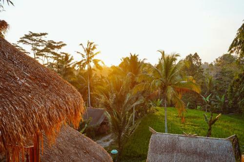 Lodge Bali Bamboo Jungle Huts And Hostel