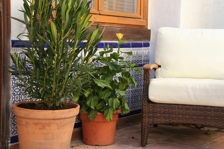 Hotel La Posada Del Angel