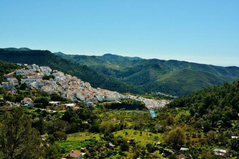 Hotel La Posada Del Angel