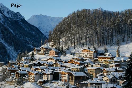 Camping Val Di Sole