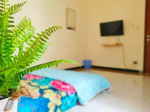 Hostal Green Surabaya Homey