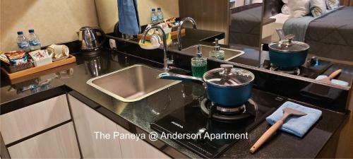 The Paneya@anderson Apartment
