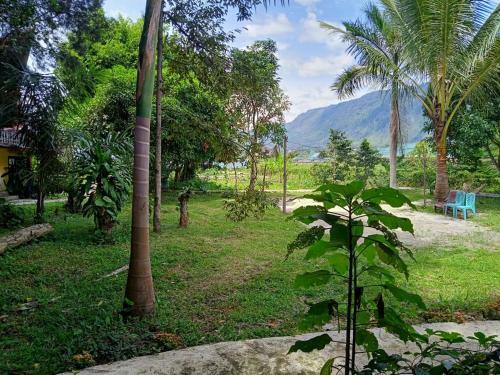 Bed & Breakfast Liberta Homestay