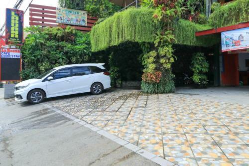 Hostal Labuana Homestay & Cafe Garden