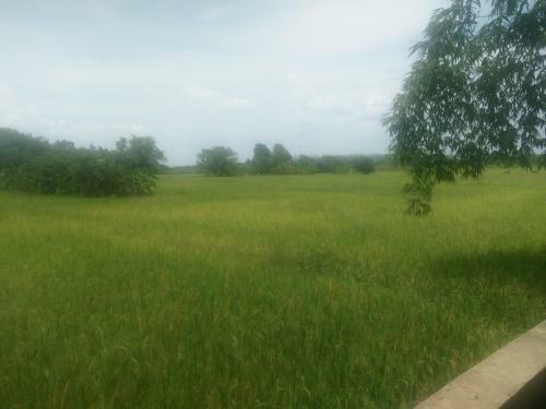 Agroturismo ????????????