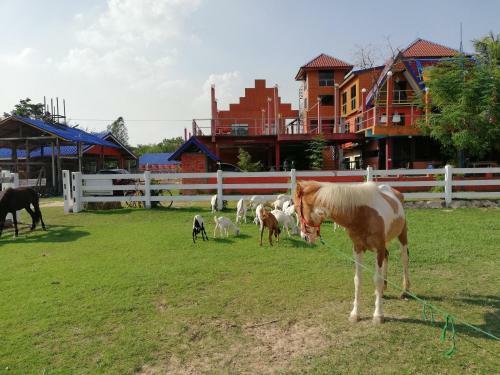 Hotel Dome Ing Prao Cowboy Home-stay