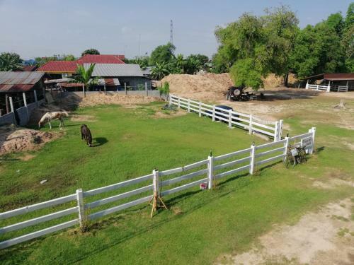Hotel Dome Ing Prao Cowboy Home-stay