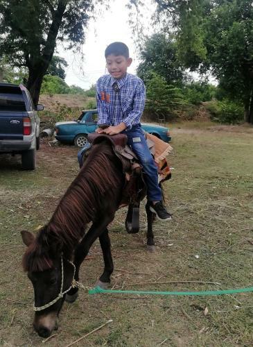 Hotel Dome Ing Prao Cowboy Home-stay