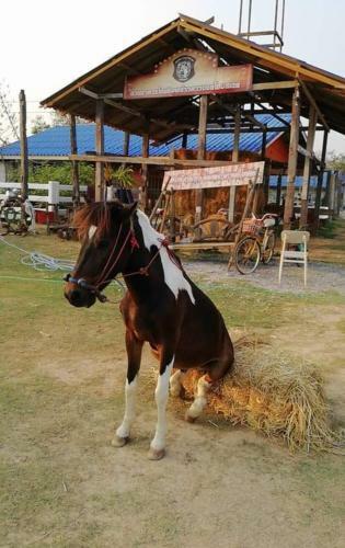 Hotel Dome Ing Prao Cowboy Home-stay