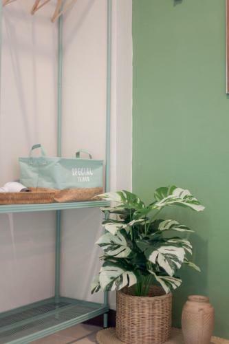 Albergue Cozzi By Grand Airport Resort