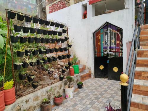 Villa Misbha Home Stay