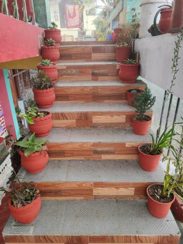 Villa Misbha Home Stay