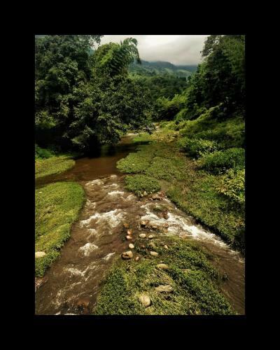 Kodai Jewel Box Homestay